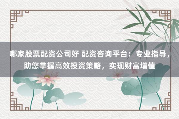 哪家股票配资公司好 配资咨询平台：专业指导，助您掌握高效投资策略，实现财富增值