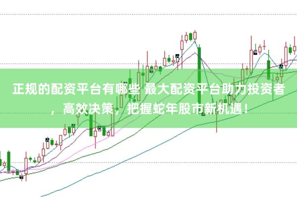 正规的配资平台有哪些 最大配资平台助力投资者，高效决策，把握蛇年股市新机遇！