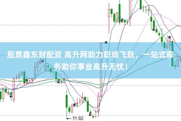 股票鑫东财配资 高升网助力职场飞跃，一站式服务助你事业高升无忧！