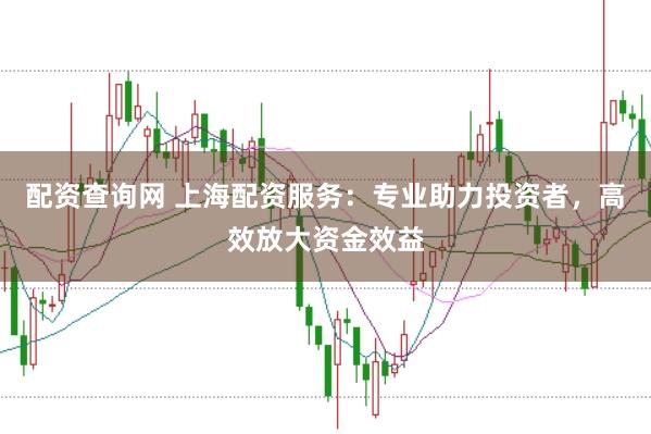 配资查询网 上海配资服务：专业助力投资者，高效放大资金效益