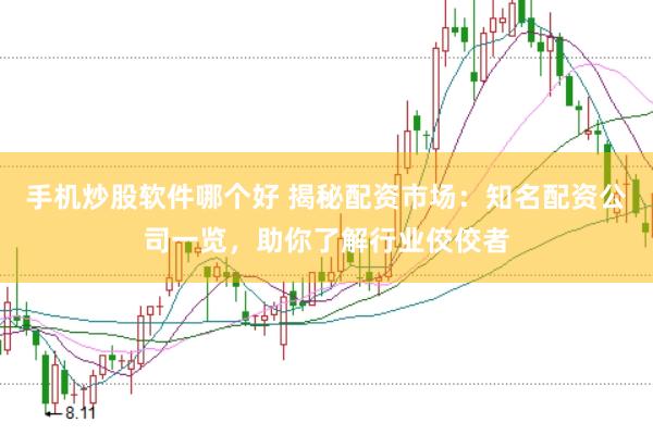 手机炒股软件哪个好 揭秘配资市场：知名配资公司一览，助你了解行业佼佼者
