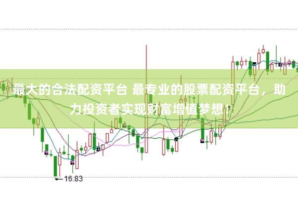 最大的合法配资平台 最专业的股票配资平台，助力投资者实现财富增值梦想！