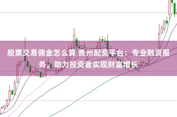 股票交易佣金怎么算 贵州配资平台：专业融资服务，助力投资者实现财富增长
