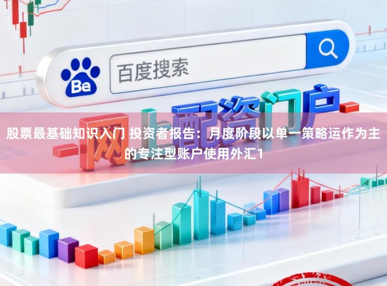 股票最基础知识入门 投资者报告：月度阶段以单一策略运作为主的专注型账户使用外汇1