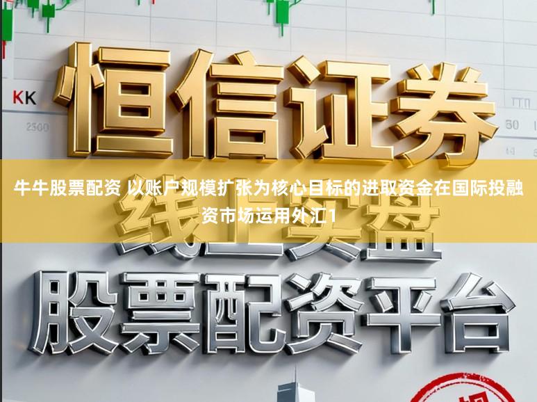 牛牛股票配资 以账户规模扩张为核心目标的进取资金在国际投融资市场运用外汇1