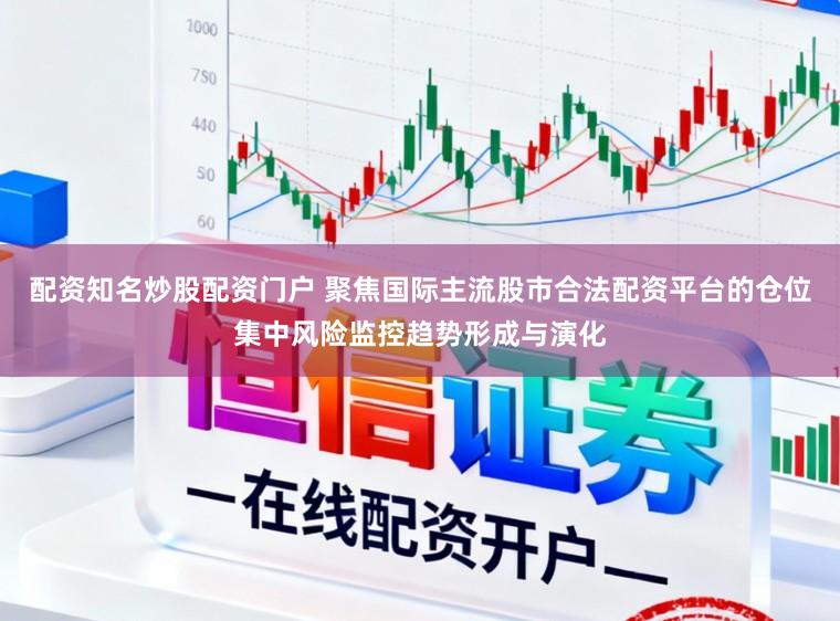 配资知名炒股配资门户 聚焦国际主流股市合法配资平台的仓位集中风险监控趋势形成与演化