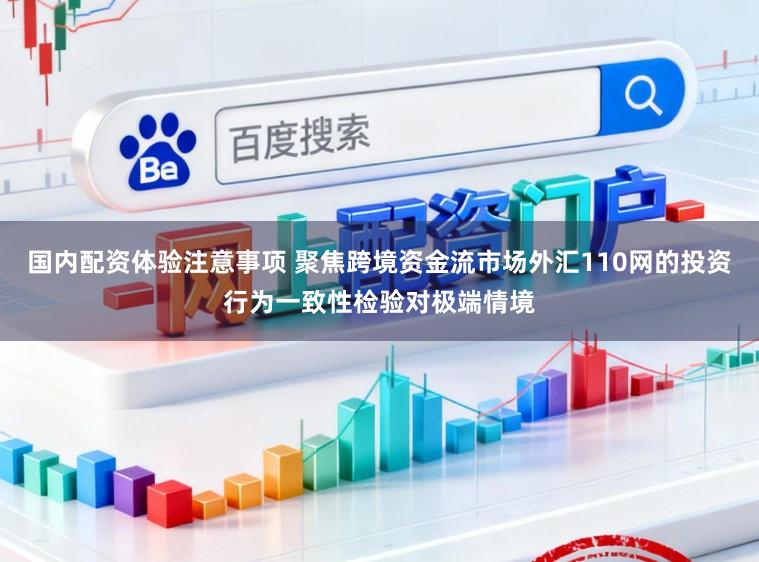国内配资体验注意事项 聚焦跨境资金流市场外汇110网的投资行为一致性检验对极端情境