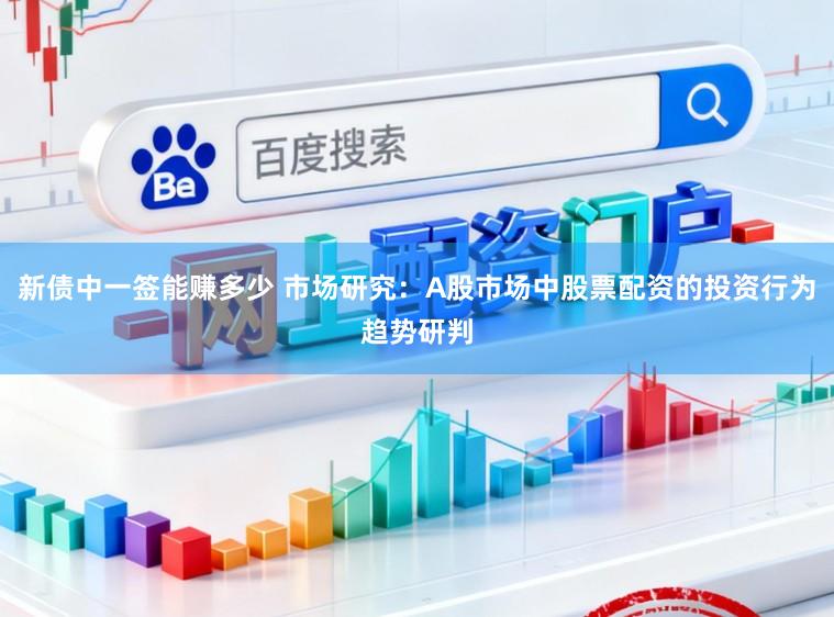 新债中一签能赚多少 市场研究：A股市场中股票配资的投资行为趋势研判